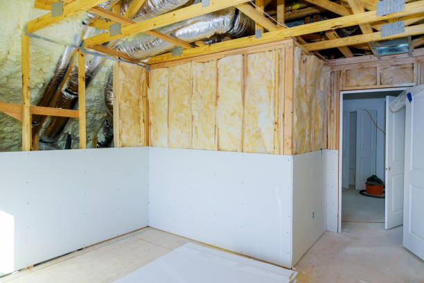 Best Specialized Insulation Services in Coon Rapids, MN