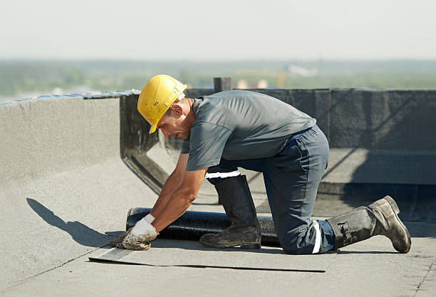 Best Geographic-Specific Insulation Services in Coon Rapids, MN