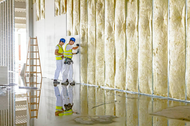 Best Blown-in Insulation in Coon Rapids, MN
